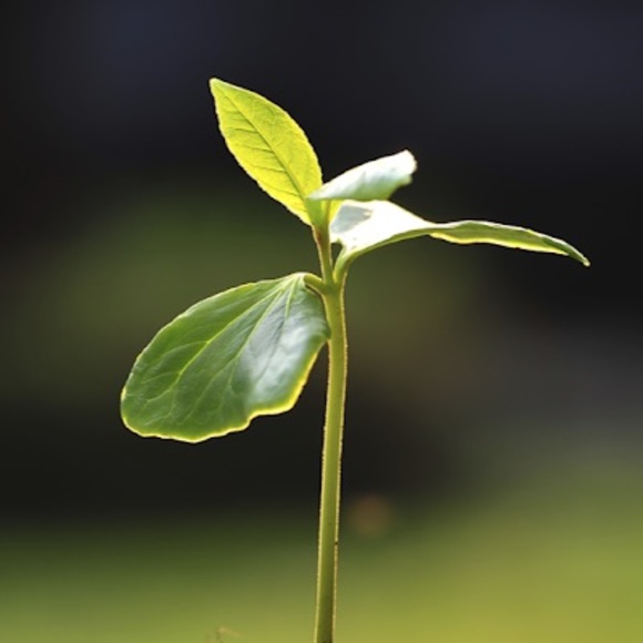 Meet your Posher, Growth - Picture 1 of 1